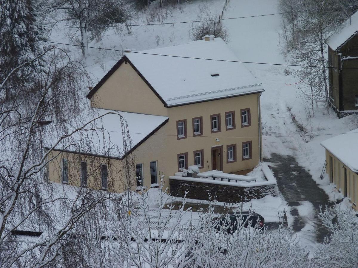 Suedeifel Ferienhaeuser Christian Faust Villa Zweifelscheid Eksteriør bilde